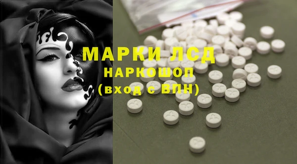 крисы Зерноград