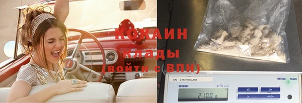 крисы Зерноград