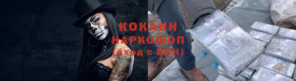 крисы Зерноград