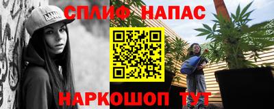 гидра Беслан