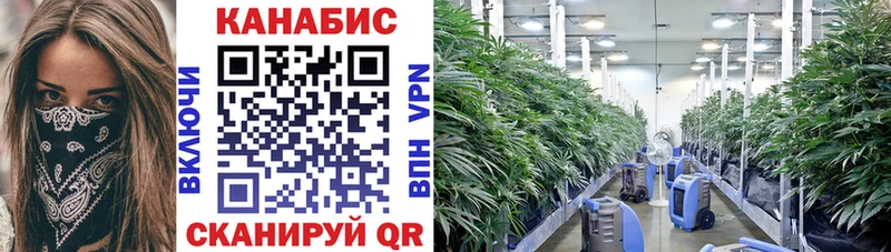 Конопля ГИДРОПОН  Минеральные Воды 